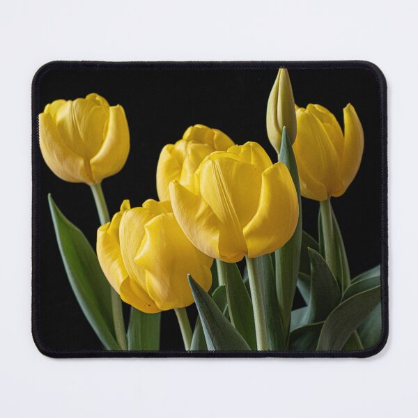 Item preview, Potted Tulips designed and sold by Gerda Grice Photography.
