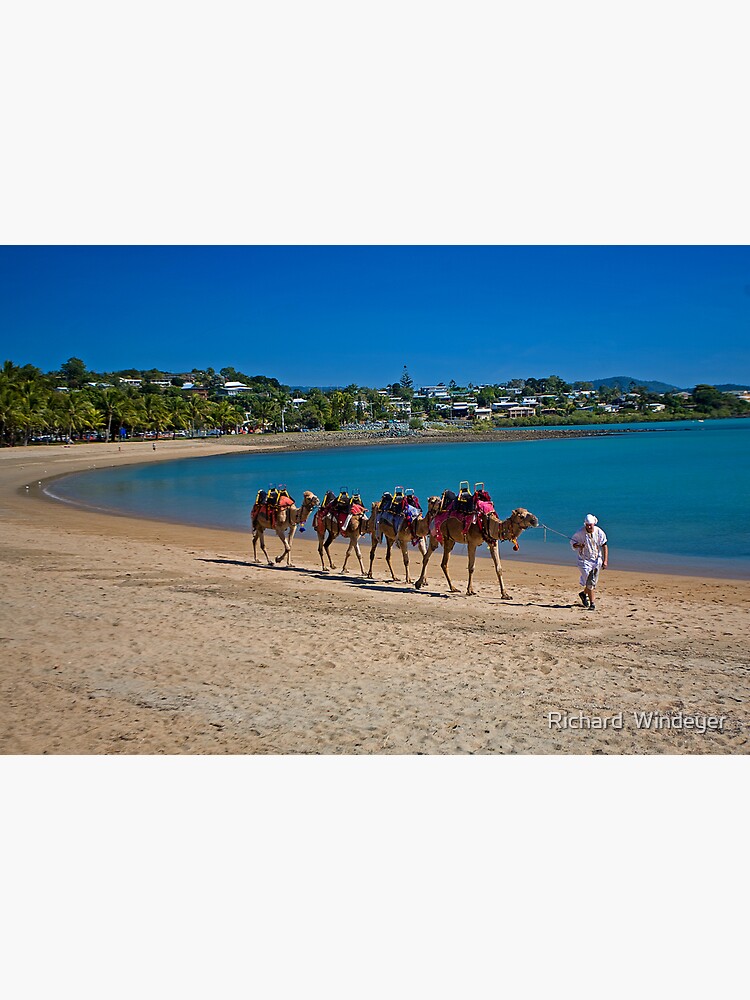 Camel Train by RICHARDW