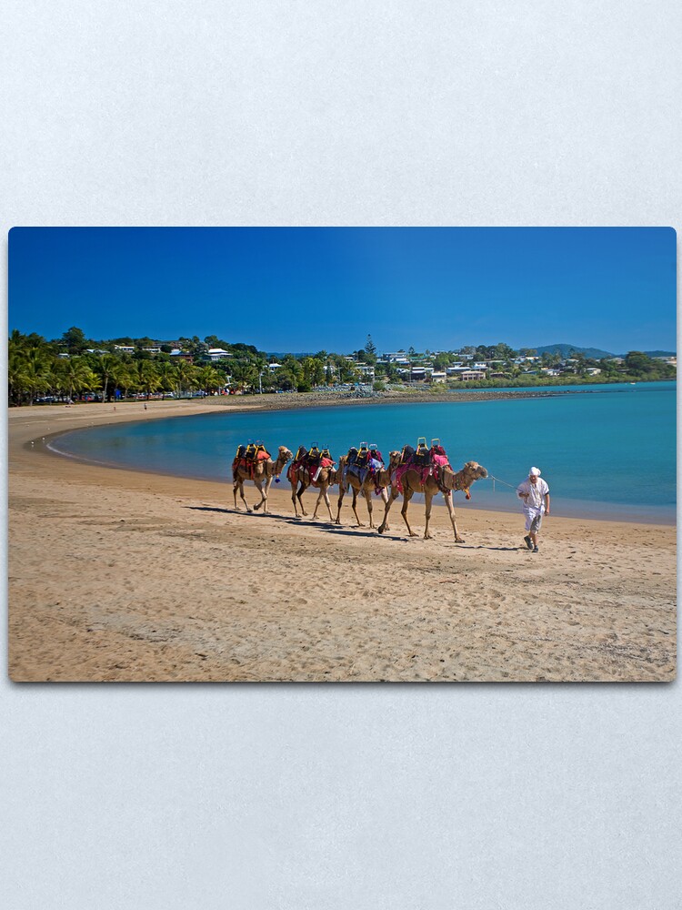 Alternate view of Camel Train Metal Print