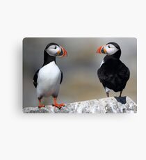 4 me Canvas Print