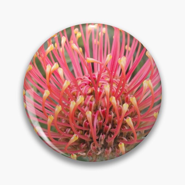 Item preview, Pin cushion flower designed and sold by FABric Photos.