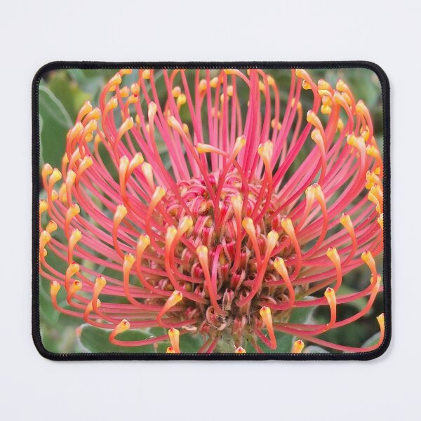 Item preview, Pin cushion flower designed and sold by FABric Photos.