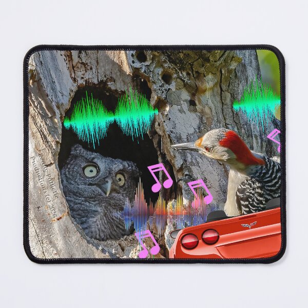 Item preview, Loud stereo neighbors torture whole neighborhood designed and sold by reallypathetic.