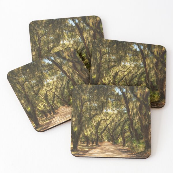 Item preview, Coffin Point Oak Alley designed and sold by DiFigianoPhoto.