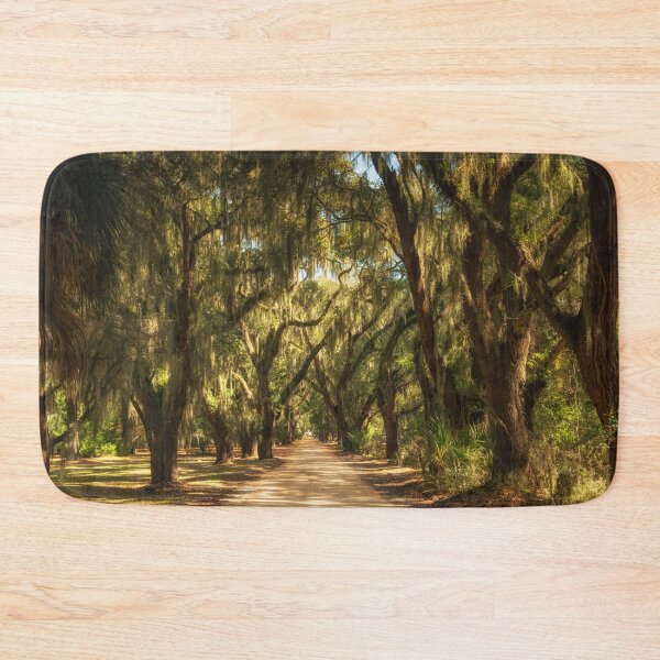 Item preview, Coffin Point Oak Alley designed and sold by DiFigianoPhoto.