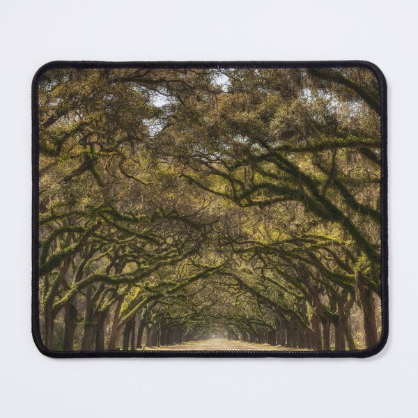 Item preview, Wormsloe Oak Alley II designed and sold by DiFigianoPhoto.