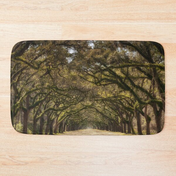 Item preview, Wormsloe Oak Alley II designed and sold by DiFigianoPhoto.