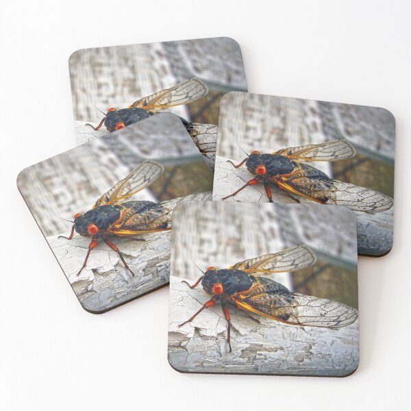 Item preview, Red Eyed Cicada designed and sold by Frankie Cat Photography.