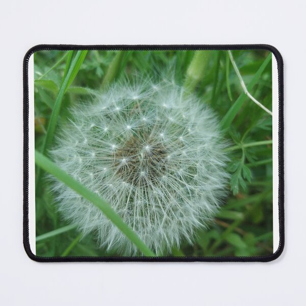 Item preview, Dandelion from Kashmir designed and sold by sonamkumari333.