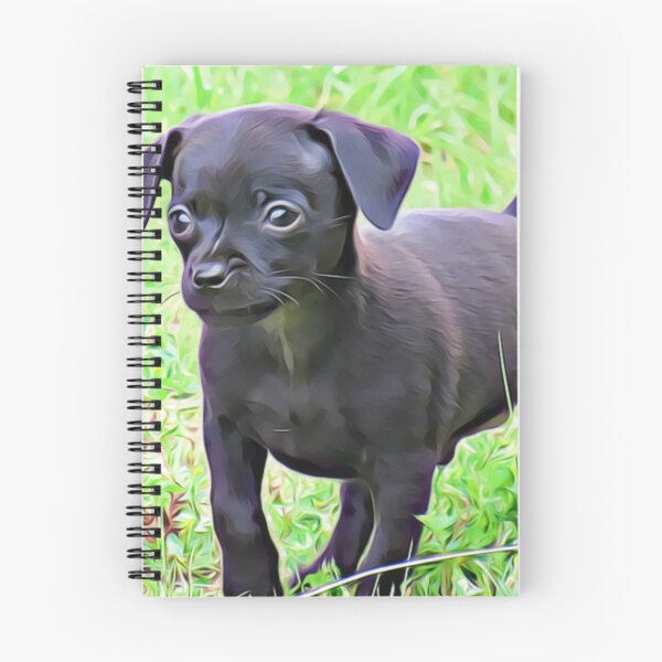 Aperçu de l'œuvre Un petit chiot noir debout dans l'herbe. créée et vendue par ZoroDesign.
