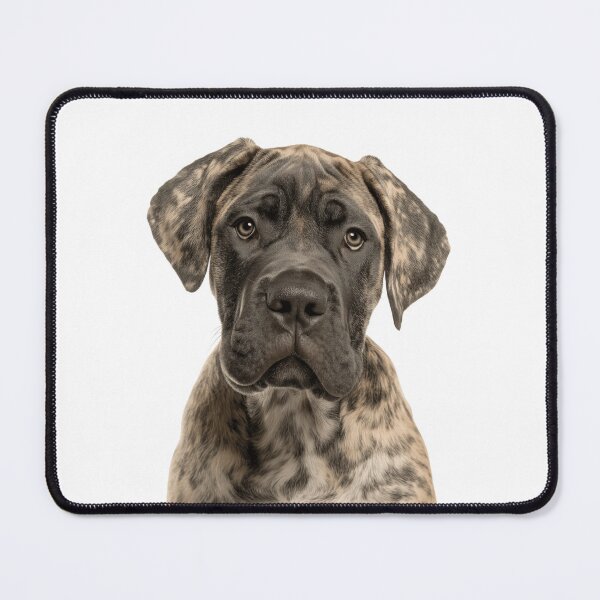 Item preview, Adorable Mastiff Pup for Cute Mastiff puppy lovers designed and sold by LazyOwlStore.