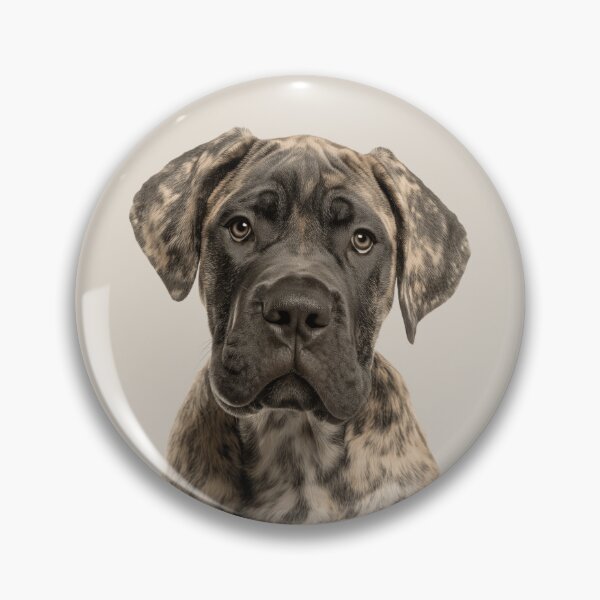 Aperçu de l'œuvre Adorable chiot Mastiff pour les amoureux des chiots Mastiff. créée et vendue par LazyOwlStore.