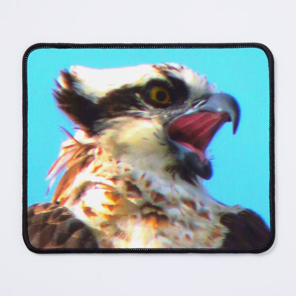Item preview, Osprey (angry) designed and sold by "sensesillusion" - Nature Images Art Prints .