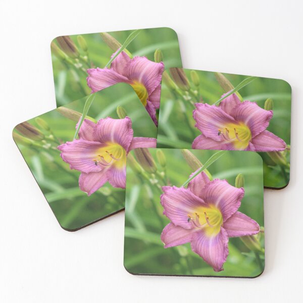 Item preview, Purple Day Lily designed and sold by FlowerFotos.