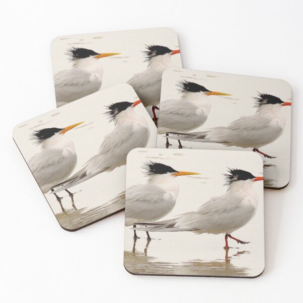 Item preview, Elegant Terns designed and sold by "sensesillusion" - Nature Images Art Prints .