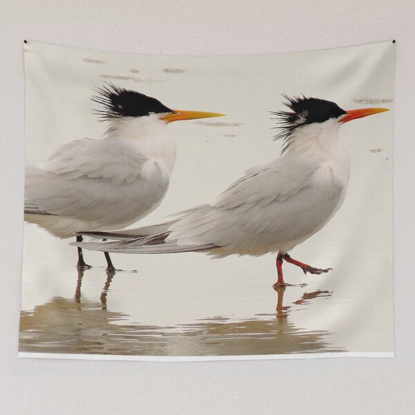 Item preview, Elegant Terns designed and sold by "sensesillusion" - Nature Images Art Prints .