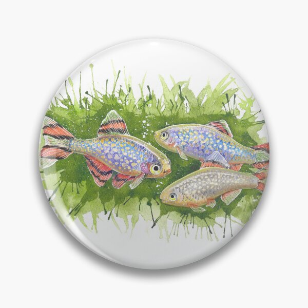 Item preview, Celestial Pearl Danios - Watercolor Painting designed and sold by The Art of Victoria Pfeiffer.