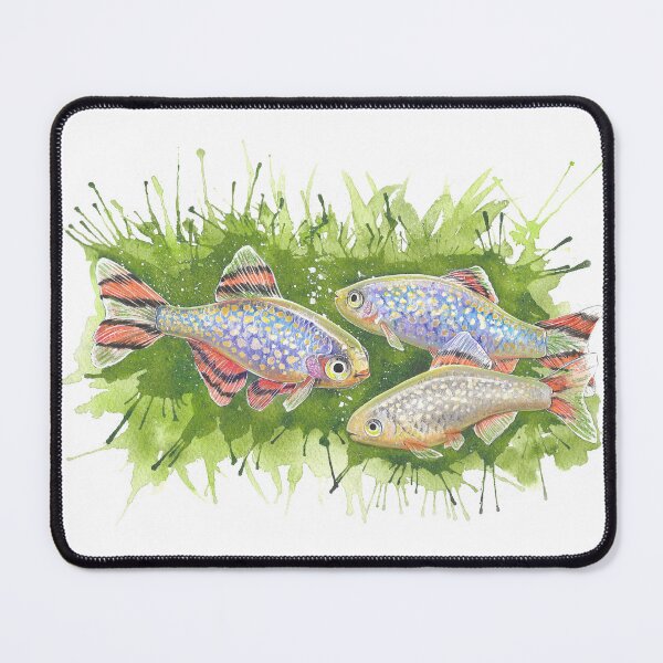 Item preview, Celestial Pearl Danios - Watercolor Painting designed and sold by The Art of Victoria Pfeiffer.