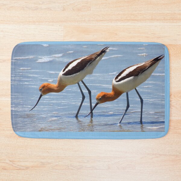 Item preview, American Avocet designed and sold by "sensesillusion" - Nature Images Art Prints .