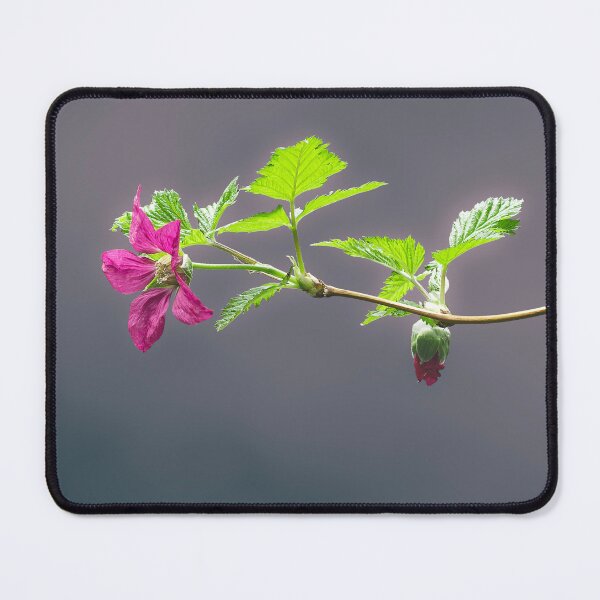 Item preview, Salmonberry blossom against soft background designed and sold by lisavonbiela.
