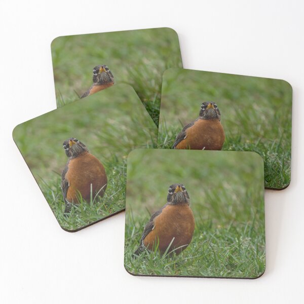 Item preview, American Robin in grass with raised beak designed and sold by lisavonbiela.