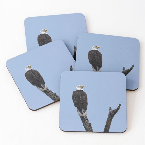 Item preview, Bald Eagle against blue sky with head turned backwards designed and sold by lisavonbiela.