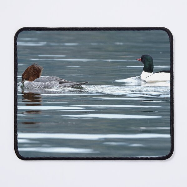 Item preview, Pair of Common Mergansers swimming together designed and sold by lisavonbiela.