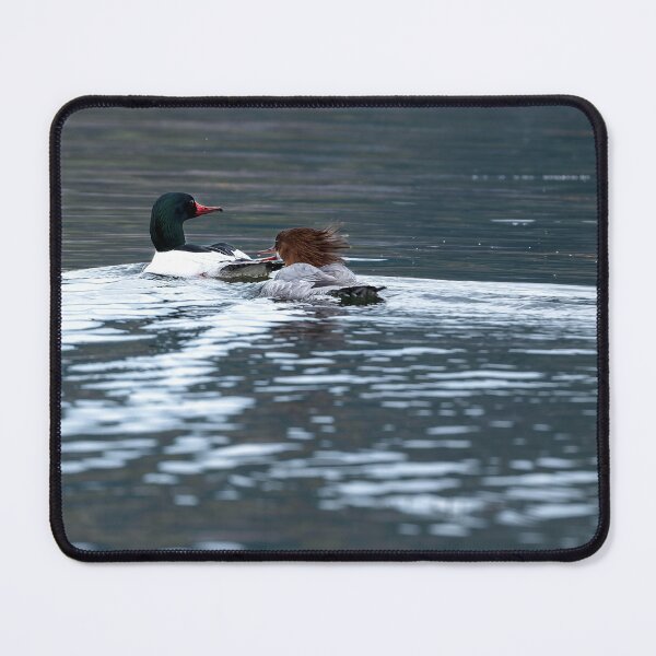 Item preview, Common Merganser pair forming a double wake designed and sold by lisavonbiela.