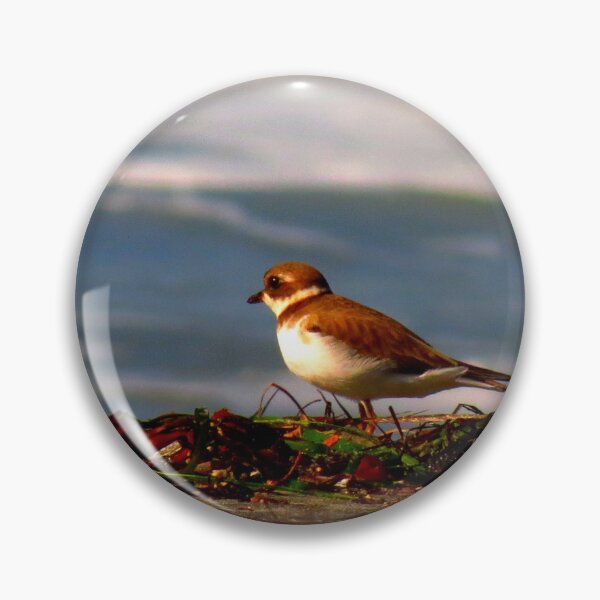 Item preview, Semipalmated Plover designed and sold by "sensesillusion" - Nature Images Art Prints .