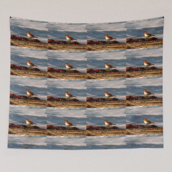 Item preview, Semipalmated Plover designed and sold by "sensesillusion" - Nature Images Art Prints .