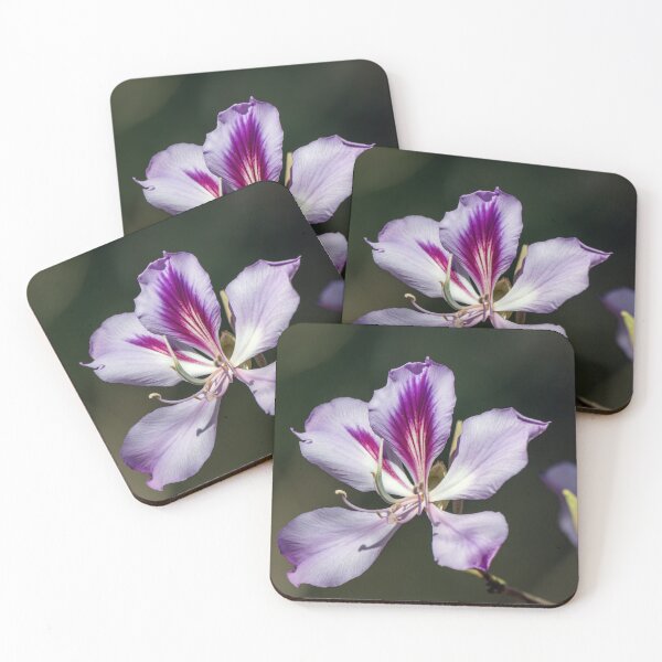 Item preview, Purple Orchid Tree Bloom designed and sold by Debra Martz.