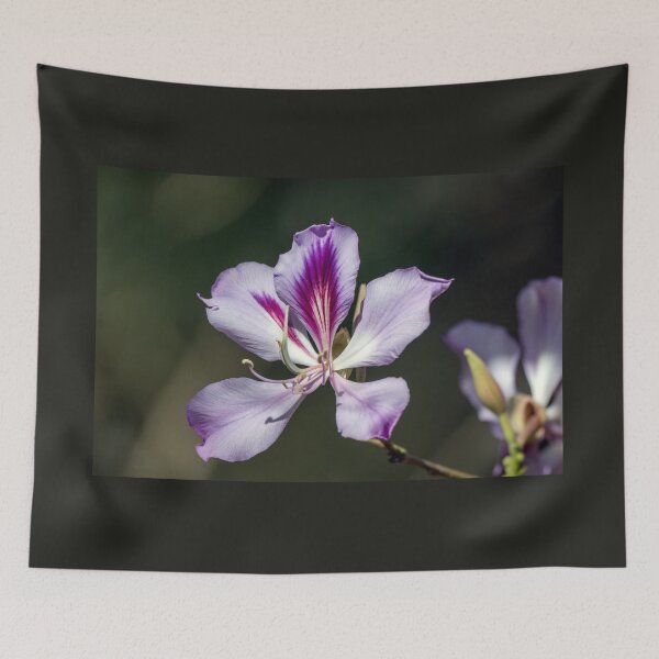 Item preview, Purple Orchid Tree Bloom designed and sold by Debra Martz.