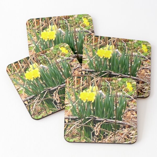 Item preview, Beauty Amidst Chaos designed and sold by EACS Photo.