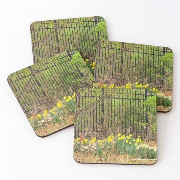 Item preview, Springtime Beauty in the Rough designed and sold by EACS Photo.