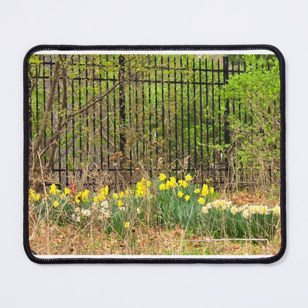 Item preview, Springtime Beauty in the Rough designed and sold by EACS Photo.