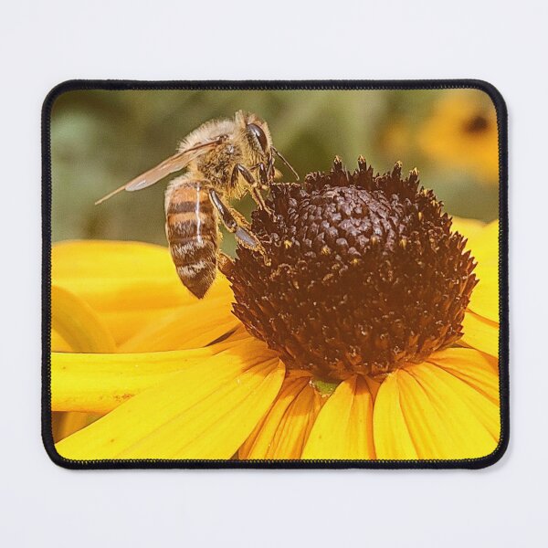 Item preview, Bee on Rudbeckia designed and sold by EmmeB77.
