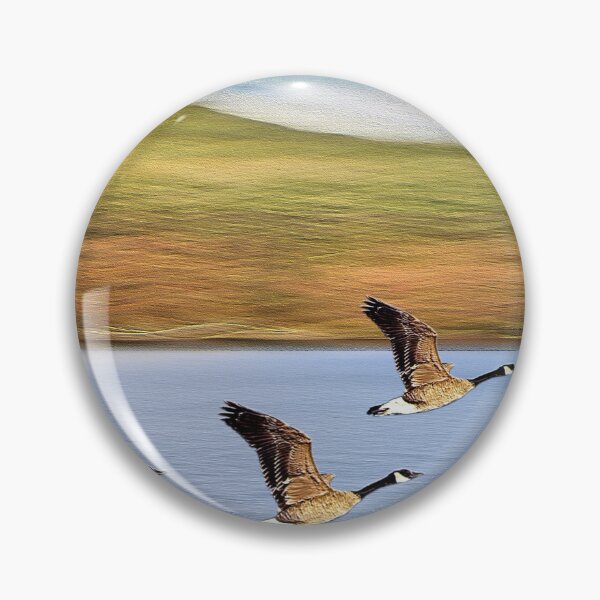 Item preview, Canadian Geese Take Off designed and sold by BostonArcImage.