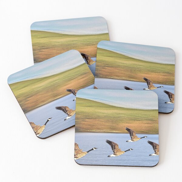 Item preview, Canadian Geese Take Off designed and sold by BostonArcImage.
