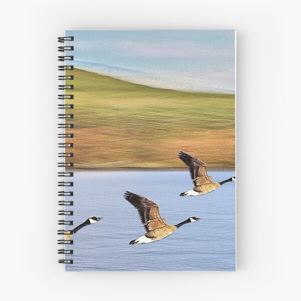 Item preview, Canadian Geese Take Off designed and sold by BostonArcImage.
