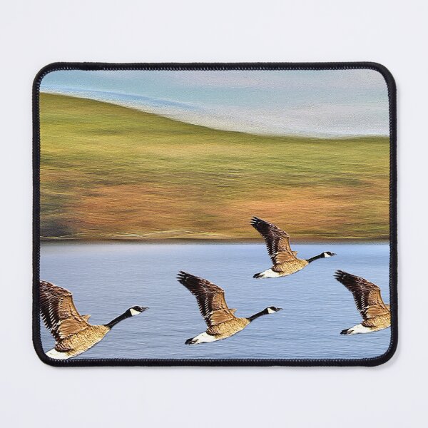 Item preview, Canadian Geese Take Off designed and sold by BostonArcImage.
