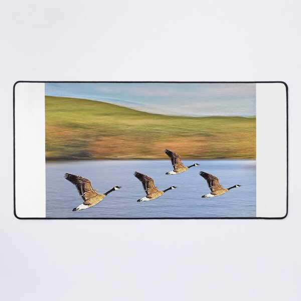Item preview, Canadian Geese Take Off designed and sold by BostonArcImage.