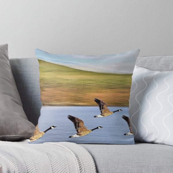 Item preview, Canadian Geese Take Off designed and sold by BostonArcImage.
