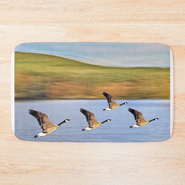 Item preview, Canadian Geese Take Off designed and sold by BostonArcImage.