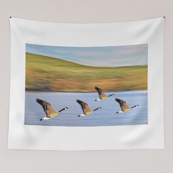 Item preview, Canadian Geese Take Off designed and sold by BostonArcImage.