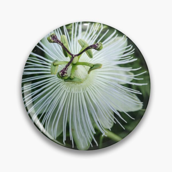 Item preview, White passion flower designed and sold by EmmeB77.