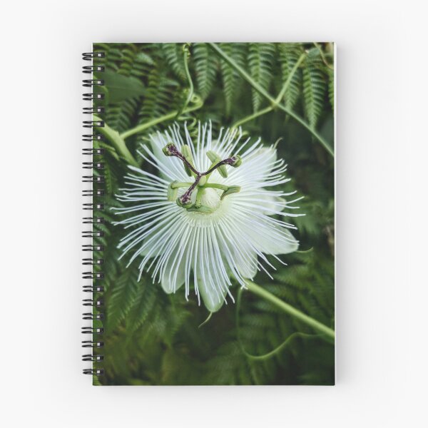 Item preview, White passion flower designed and sold by EmmeB77.