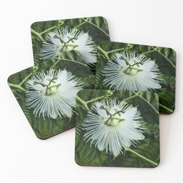 Item preview, White passion flower designed and sold by EmmeB77.