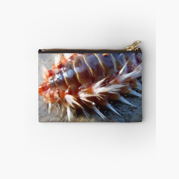 Item preview, Marine worm designed and sold by Ana Belaj.
