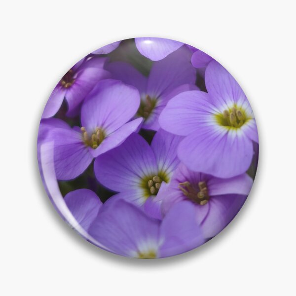 Item preview, Vibrant Purple Aubrieta Rock Cress Garden Flowers designed and sold by Kainicram.