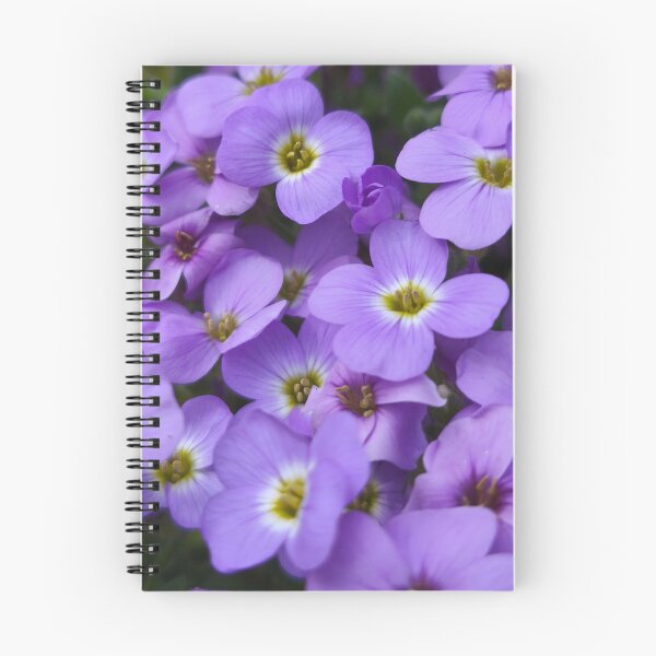 Artikelvorschau, Leuchtend violette Aubrieta-Felsenkresse-Gartenblumen entworfen und verkauft von Kainicram.